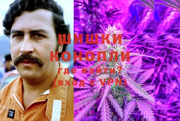дмт Аркадак