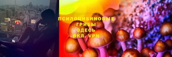 дмт Аркадак